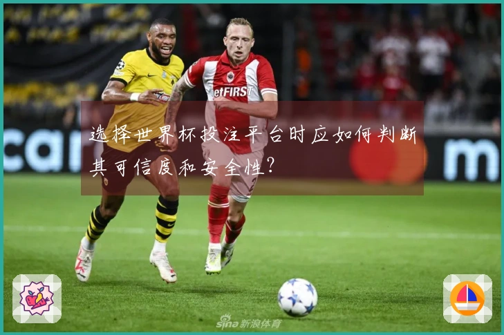 选择世界杯投注平台时应如何判断其可信度和安全性？