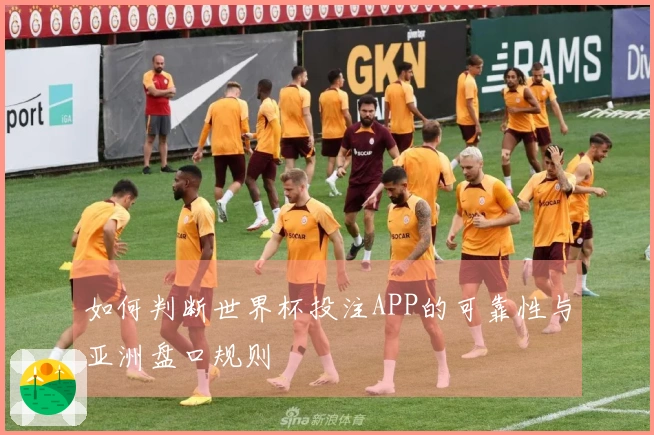 如何判断世界杯投注APP的可靠性与亚洲盘口规则