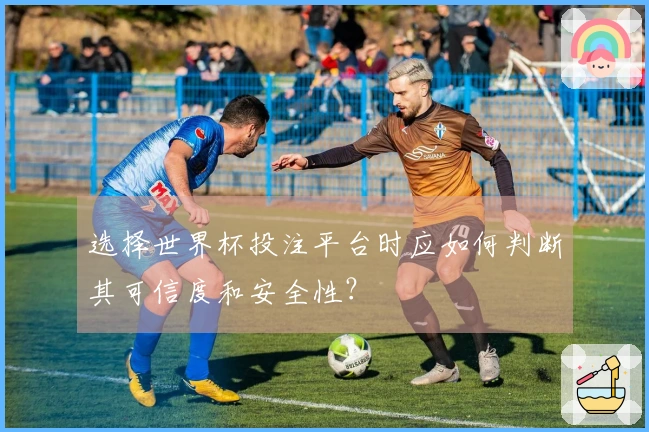 选择世界杯投注平台时应如何判断其可信度和安全性？