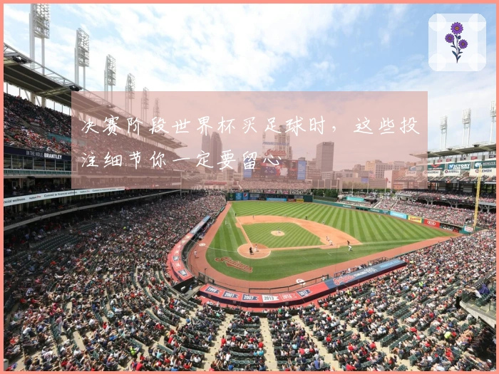 决赛阶段世界杯买足球时，这些投注细节你一定要留心