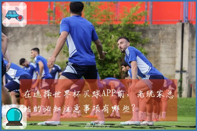 在选择世界杯买球APP前，老玩家总结的必知注意事项有哪些？