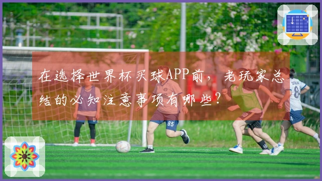 在选择世界杯买球APP前，老玩家总结的必知注意事项有哪些？